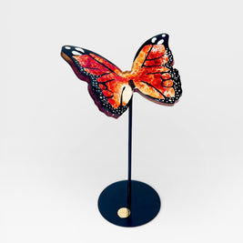 Wild Wings - Motion