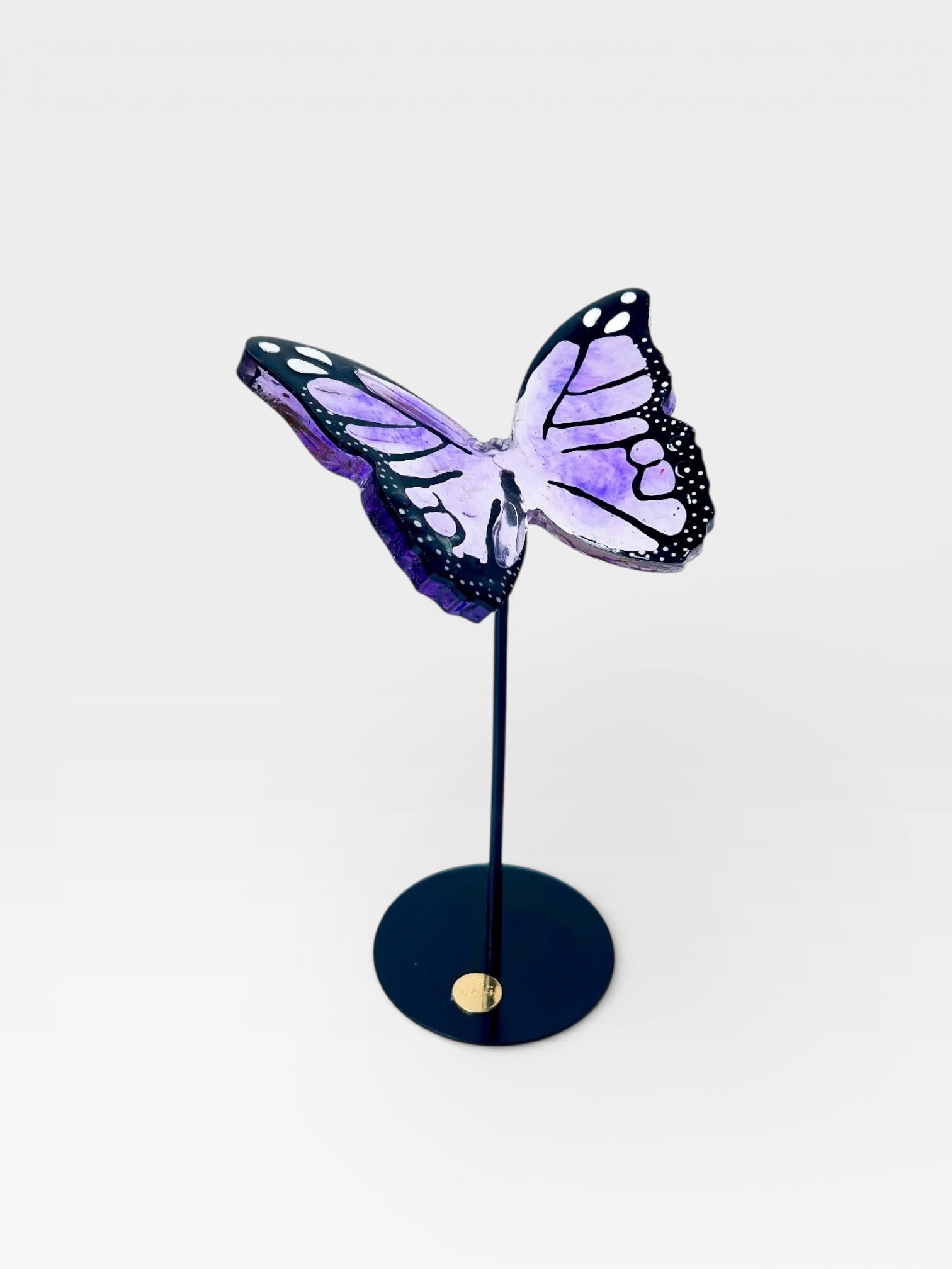 Wild Wings - Motion