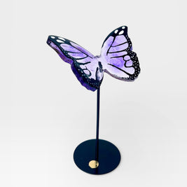 Wild Wings - Motion