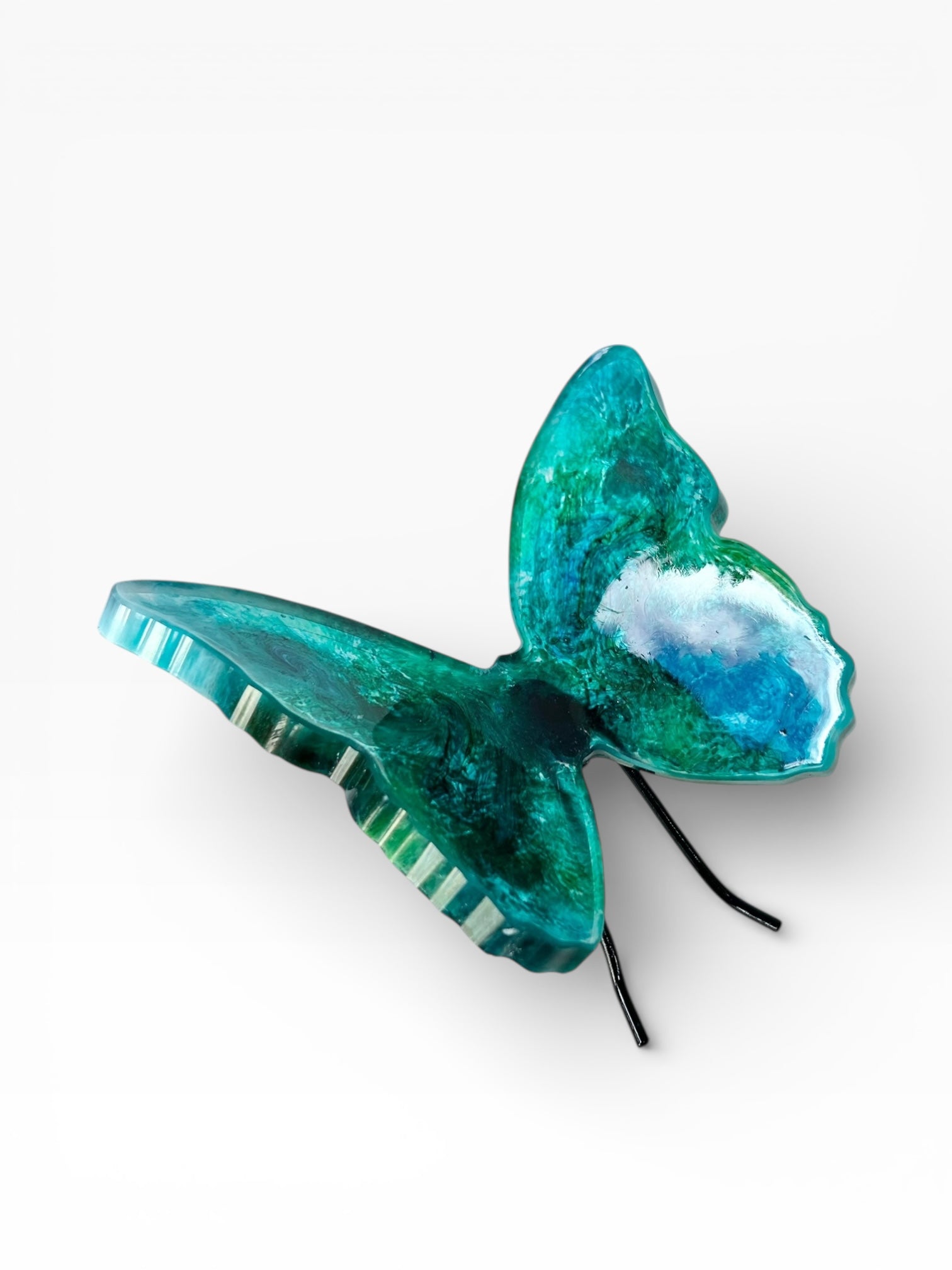 Chroma Wings - Presence