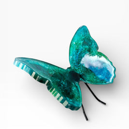Chroma Wings - Presence