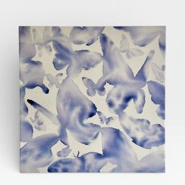 Water Wings III - Born Again Series