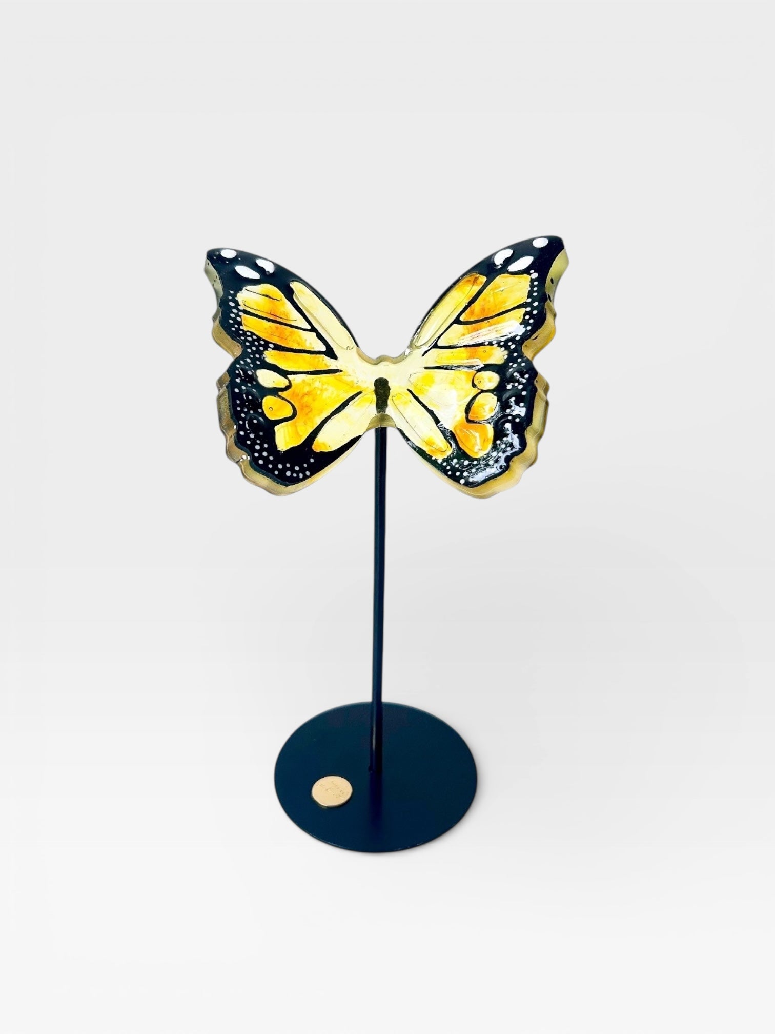 Wild Wings - Motion