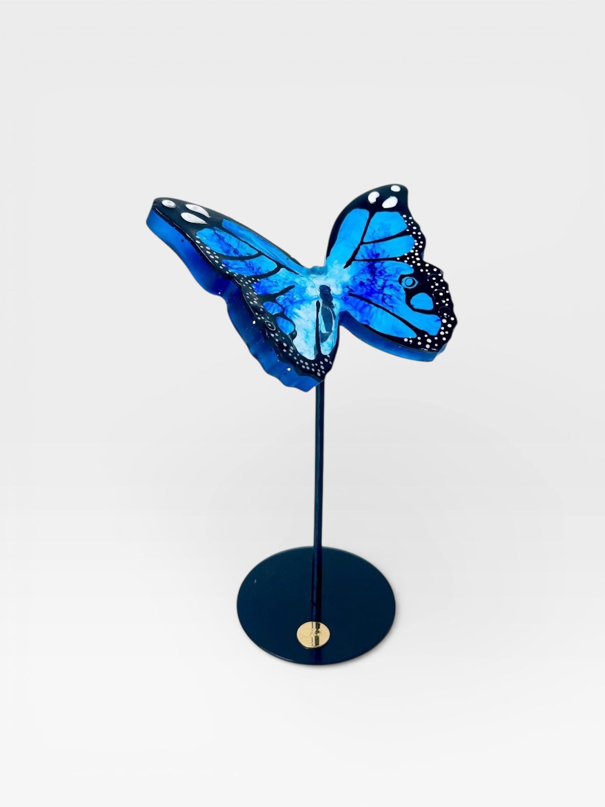 Wild Wings - Motion