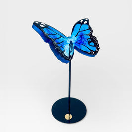 Wild Wings - Motion