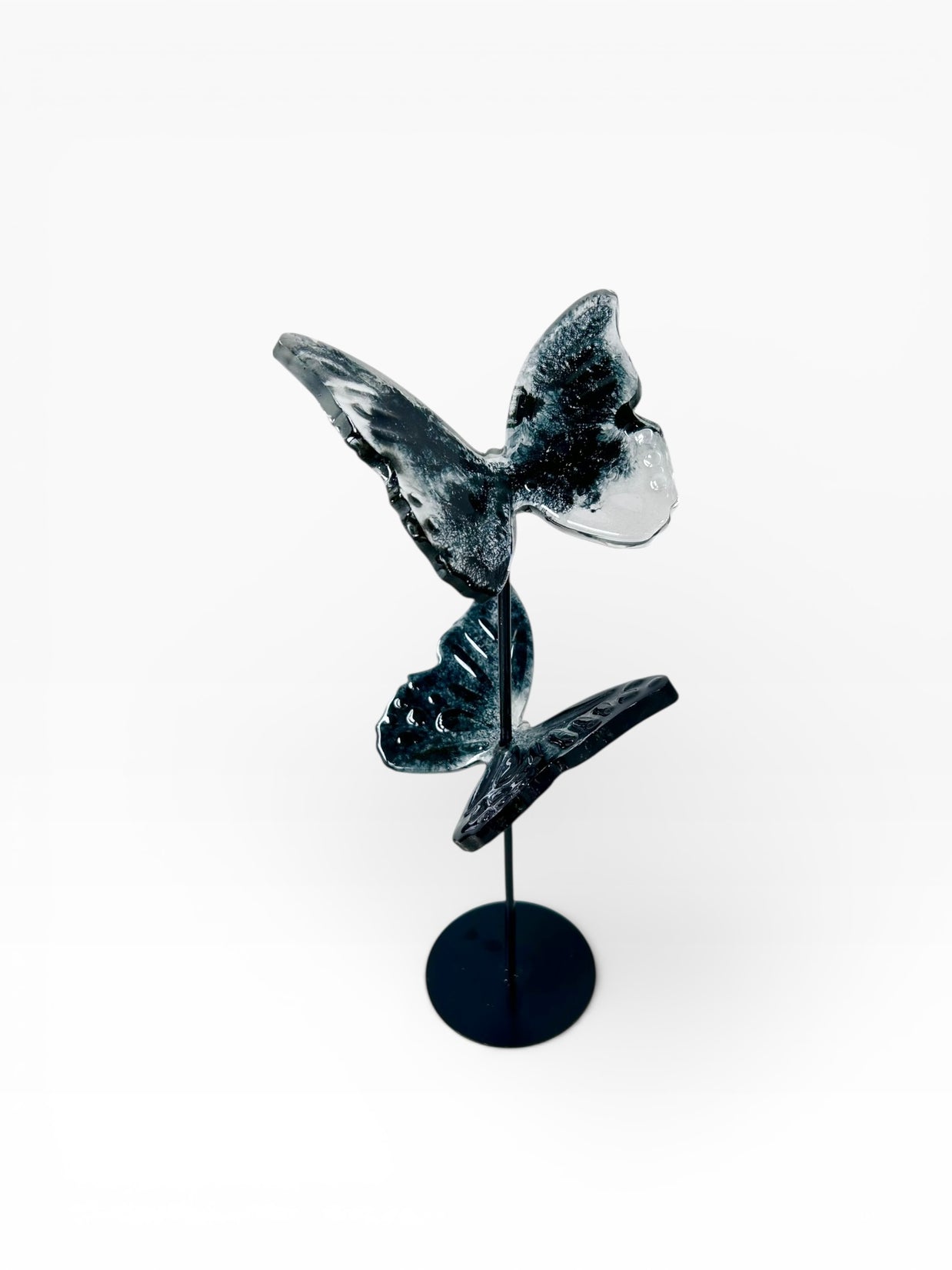 Chroma Wings -Side by side