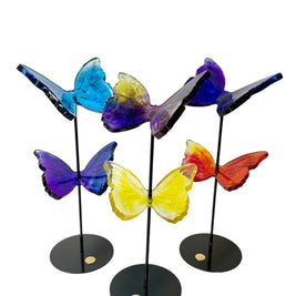 Aura Wings - Side by Side