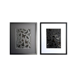Mini Reflections of the Soul - Monochromatic Frame