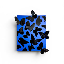 Flying Blues - Rising Soul Series